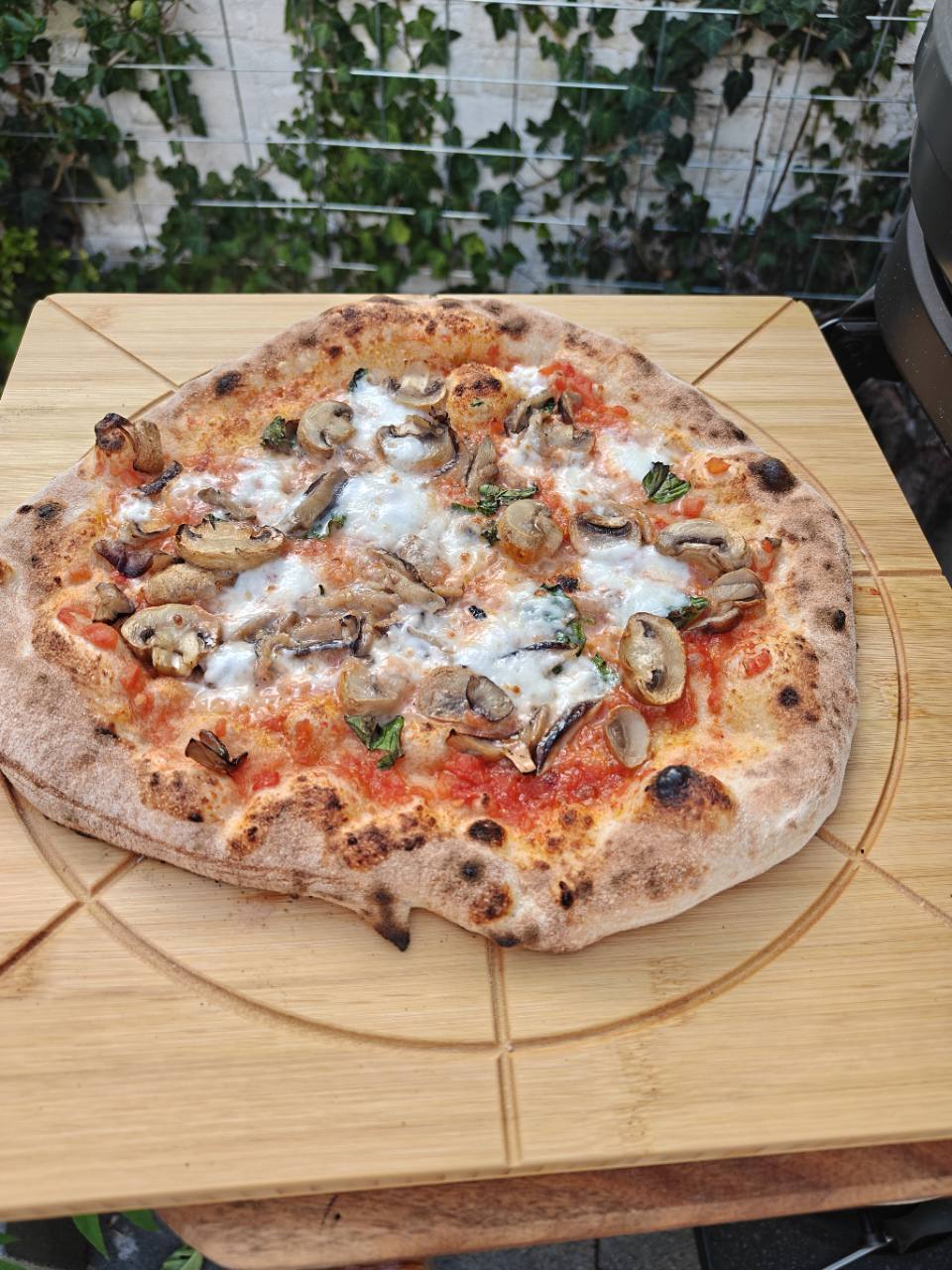 Pizza met champignons, mozzarella en kruiden
